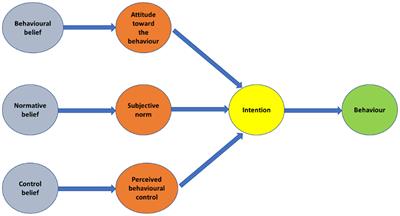 Exploring innovation adoption behavior for sustainable development of Mediterranean tree crops